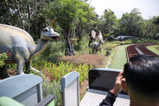 East Java, Indonesia - August 14, 2023. Fossil and Satue of a T-rex dinosaur in the Dino Park for study tour and education in Jatim Park 3, Indonesia.