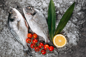 Two frozen dorado fish, which are located on ice particles on the kitchen table in one direction, next to which are two sprigs of a green plant, a branch with cherry tomatoes and a cut half of a lemon