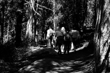 people are walking on the mountain