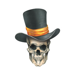 A human skull in a black top hat with a orange ribbon. Hand drawn watercolor illustration for day of the dead, halloween, Dia de los muertos. Isolated object on a white background.