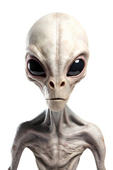 regular alien head portrait, isolated
