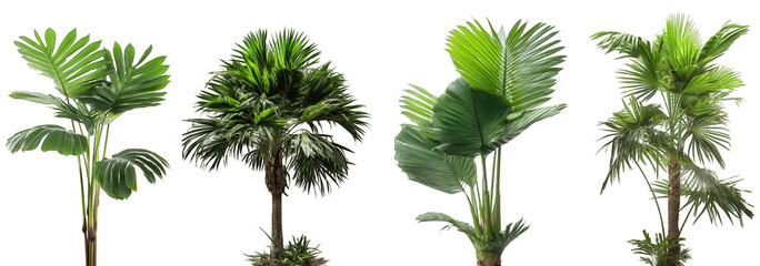 Beautiful dense and mature tropical plants isolated on transparent background generative ai - obrazy, fototapety, plakaty