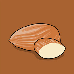 a vector illustration about almonds