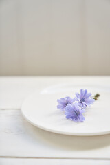 Chicory flowers lie on a saucer, on a white background. Beautiful wild blue or purple flowers, Beautiful background, with space to copy. High quality photo