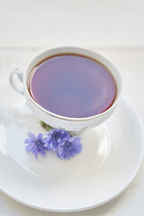 Hot chicory drink. A plant in a saucer on a white background. Flowers of chicory ordinary or cichorium dioecious. With a space to copy. High quality photo