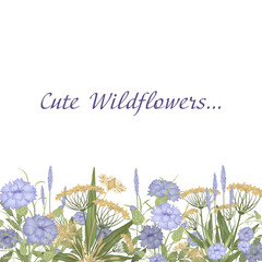 Bottom wildflower frame. Cornflowers and herbs