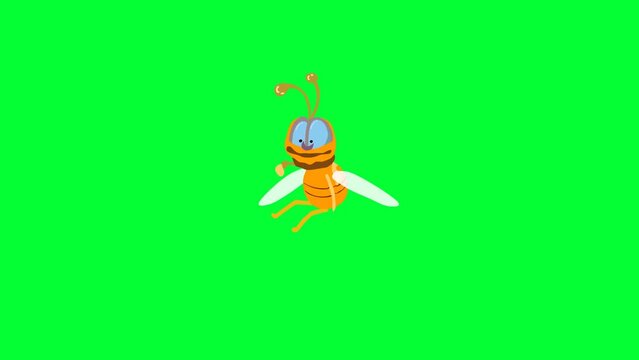 Flying insect, cartoon bee background and 2d animation, creature flying, green screen, bug
