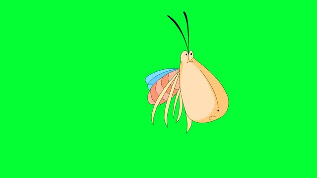 Flying insect, cartoon bug background and 2d animation, creature flying 