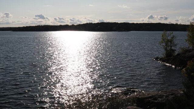Landscape view at a lake. Autumn tree. Stockholm, Sweden.