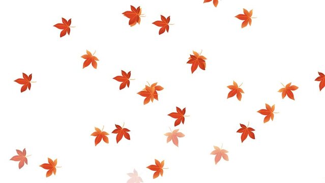 maple leaves falling background and 2d animation, foliage, heap, nature leave 