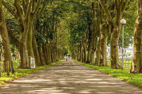 Zweibr&uuml;cker Allee