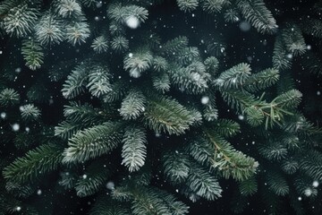 Fir tree branches with snow. Christmas and New Year background. Generative Ai