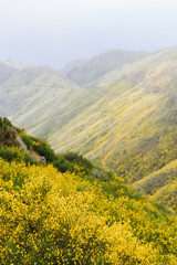 Fototapeta premium Travelling and exploring Madeira island landscapes and famous places. Summer tourism by Atlantic ocean and mountains. Outdoor views on beautiful water, sky, cliffs, coastline and travel destination.