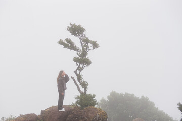 Travelling and exploring Madeira island landscapes and famous places. Young female tourist enjoying spectacular Fanal forest view. Summer tourism by Atlantic ocean and mountains.