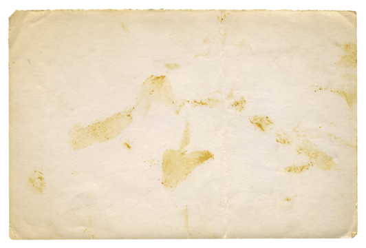 	
Retro photo paper texture. Old antique sheet paper texture. Announcement board. Recycle vintage paper background. Aged and yellowed wallpaper.	
