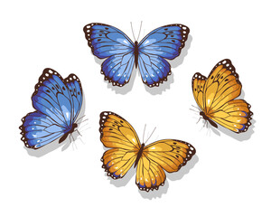 set of butterflies isolated