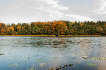 Jezioro w lesie jesienią