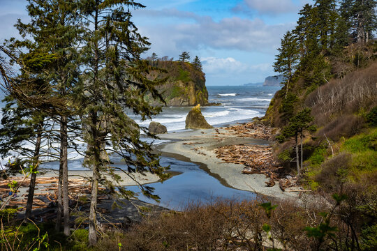 Overlook at Ruby Beach, Cedar Creek, and the rocky Pacific Coast in the Olympic National Park near Kalaloch, Washington, USA; Washington, United States of America