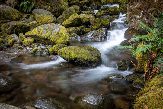 Long Exposure of the rushing water, rocks, and moss of Bunch Falls near Lake Quinault in the Olympic National Forest; Amanda Park, Washington, United States of America