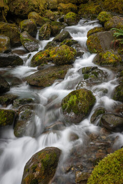 Long Exposure of the rushing water, rocks, and moss of Bunch Falls near Lake Quinault in the Olympic National Forest; Amanda Park, Washington, United States of America