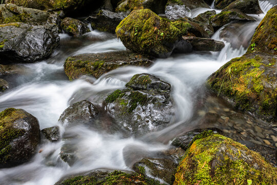 Long Exposure of the rushing water, rocks, and moss of Bunch Falls near Lake Quinault in the Olympic National Forest; Amanda Park, Washington, United States of America