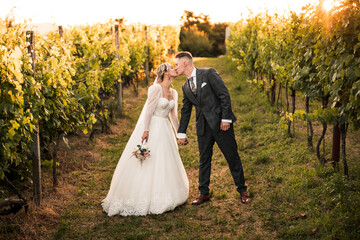 beautiful bride in white dress and groom kissing in the middle of vineyard and grapes, groom...