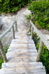 View of a wooden staircase to one of the trails in Parque das Dunas in the city of Salvador, Bahia.
