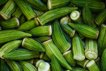Green fresh okra in water