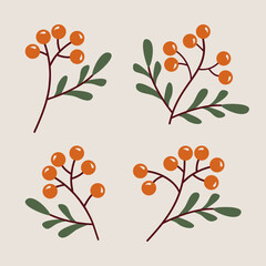 Mountain ash rowan branches and berries in cartoon flat style