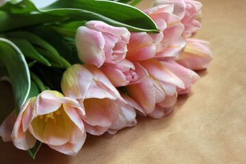 Bouquet of tulips on beige paper