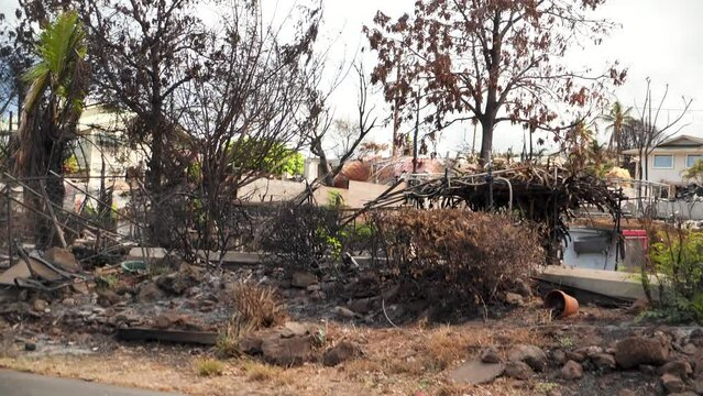 Devastating Maui wildfires around Lahaina. Wind-whipped wildfire in Lahaina, Maui, Hawaii. Road closed. The city after fire. Burnt houses. 4K footage.