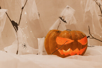 Spooky Jack o lantern carved pumpkin, spider web, ghost, bats and glowing light in evening. Happy...