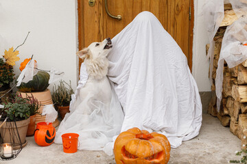 Scary ghost and cute dog with Jack o lantern at front of house with spooky halloween decorations on...