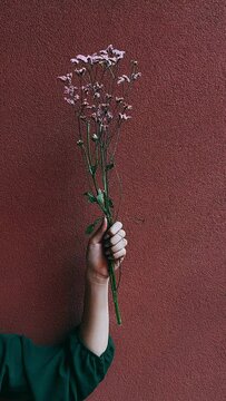 person holding flowers against red wall, flowers against red wall, flowers, floral design, flowers, flower, vase, plant, spring, bouquet, nature, blossom, pink, beauty, floral, bloom, petal, leaf, orc