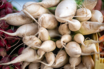 Daikon (