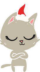 calm hand drawn flat color illustration of a cat wearing santa hat