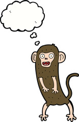 cartoon crazy monkey with thought bubble