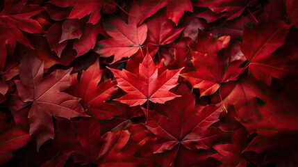 red leaves background antumn nature canada - by generative ai - obrazy, fototapety, plakaty