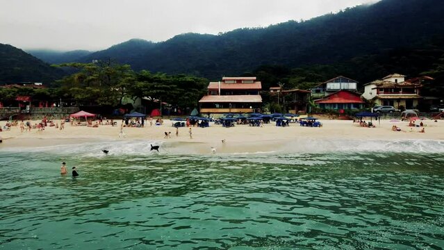 paradisiacal beach in Brazil, beach on a cloudy day with people swimming, beautiful green forest, unforgettable trip, dogs running in the sand