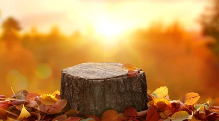 Gordijnen Beautiful autumn landscape with  stump in the forest. Colorful foliage in the park. Falling leaves natural background. Mockup podium for product presentation. © Lilya