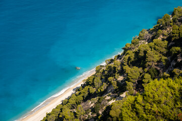 mediterranean landscape with beach and trees - 653933386