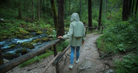 Woman hiker walks along mountain river in coniferous forest at rainy day. Outdoor activity and...