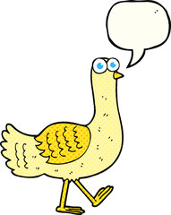 freehand drawn comic book speech bubble cartoon bird