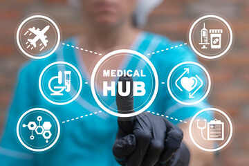Doctor using virtual touch screen presses inscription:  MEDICAL HUB. Medical Hub Tourism Concept....