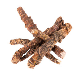 Calamus root isolated on white background. Sweet flag, sway or muskrat root, vasambu. Dry root of Acorus calamus.