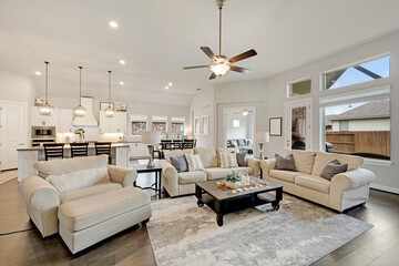 a home living room with bright and white decor 
