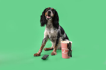 Cute cocker spaniel dog with bucket of popcorn, 3D cinema glasses and TV remote sitting on green...