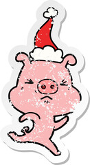 hand drawn distressed sticker cartoon of a annoyed pig running wearing santa hat