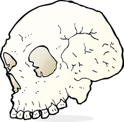 skull illustration