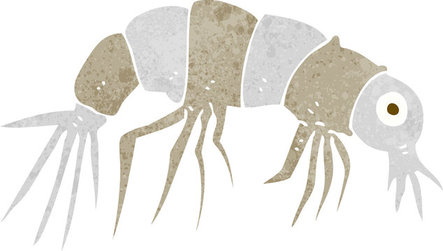 recommend clip art: cartoon shrimp